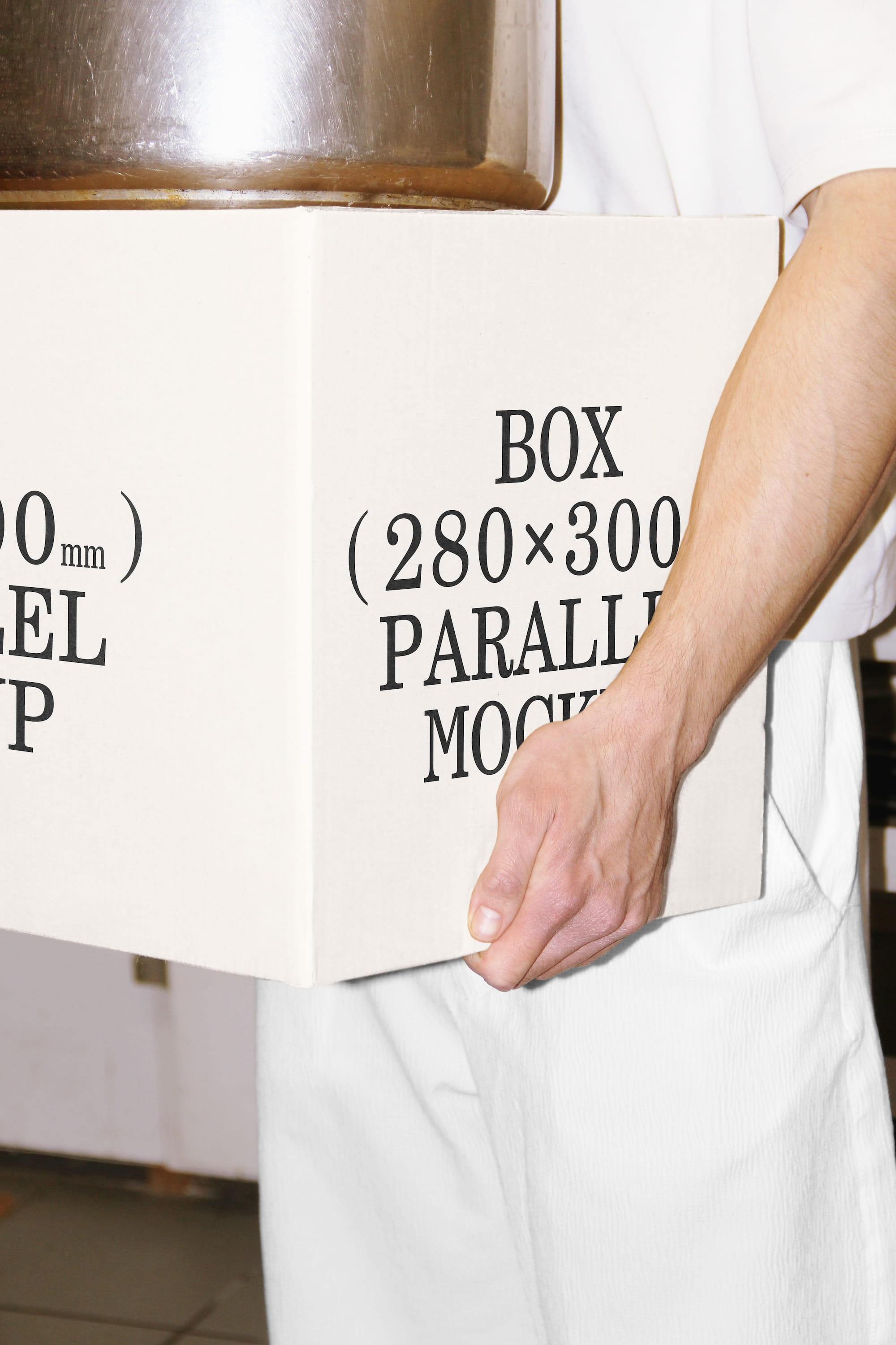 Box Mockup BI-A-36 Parallel Mockup