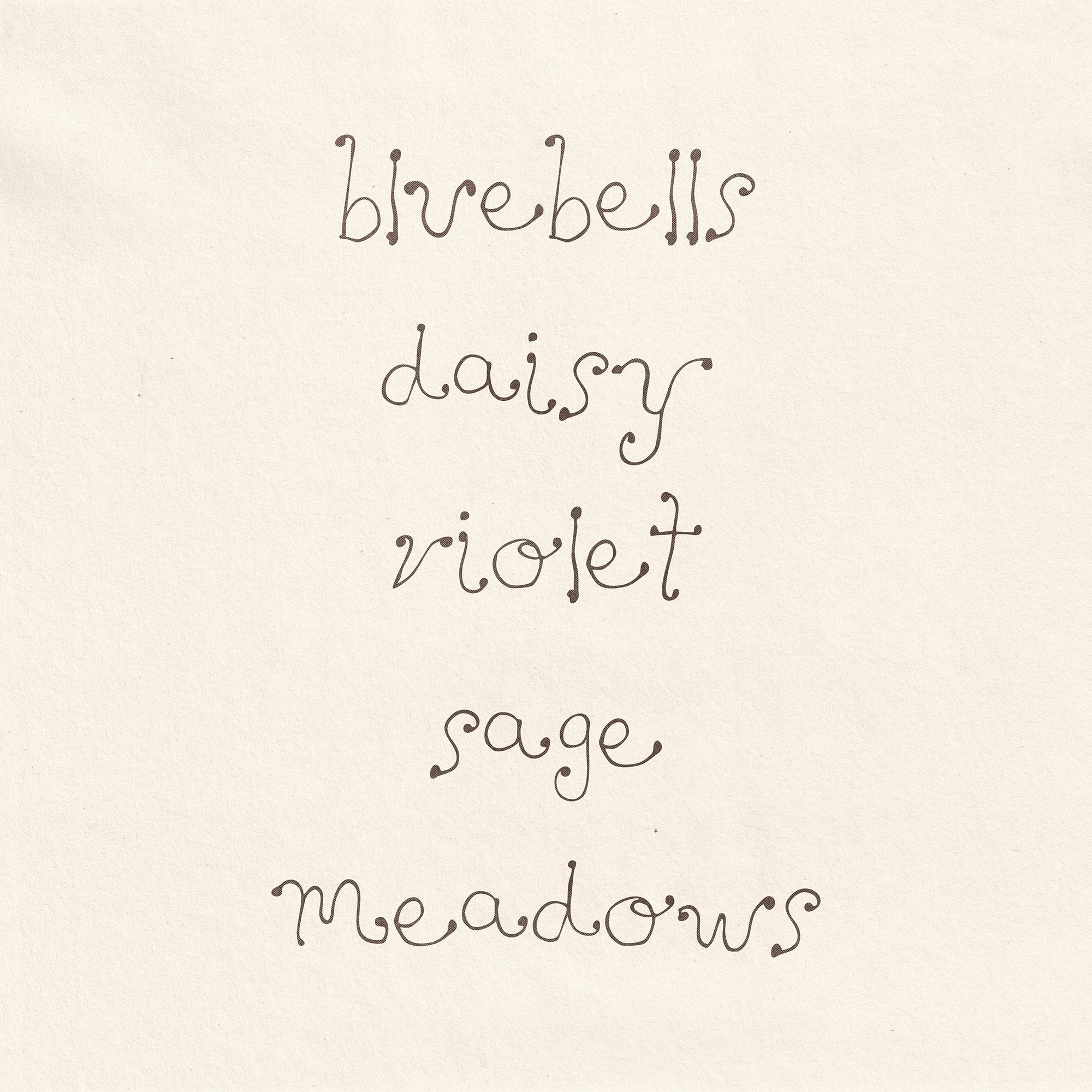 Dandelion Organic Hand Drawn Font Madeline O'Donoghue