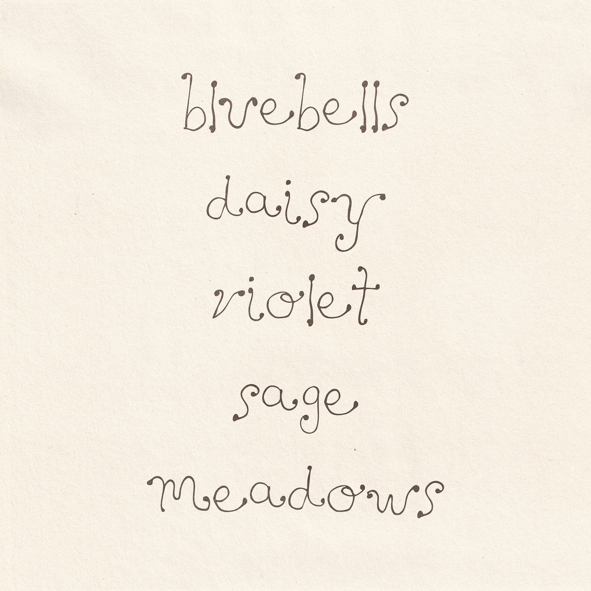 Dandelion Organic Hand Drawn Font Madeline O'Donoghue
