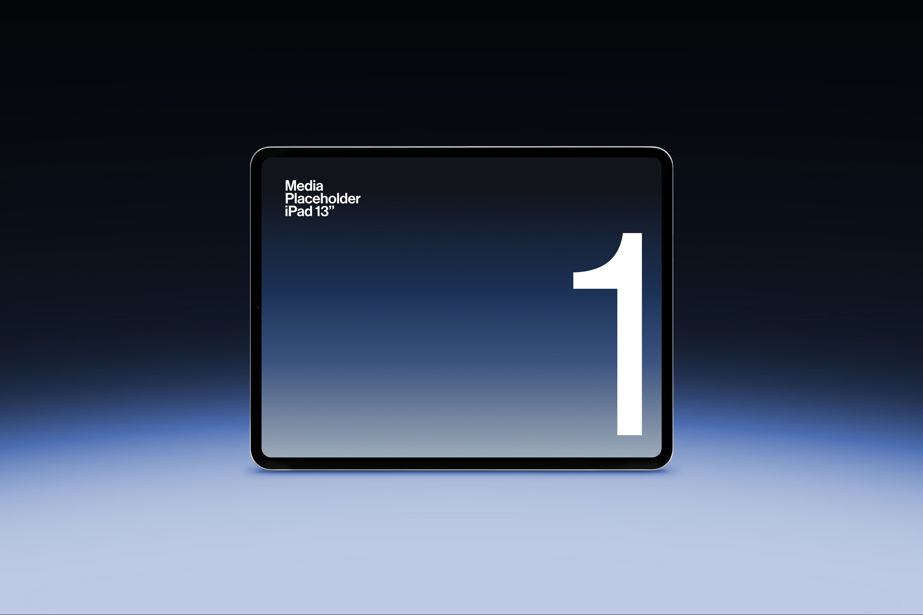 iPad One Size Assets