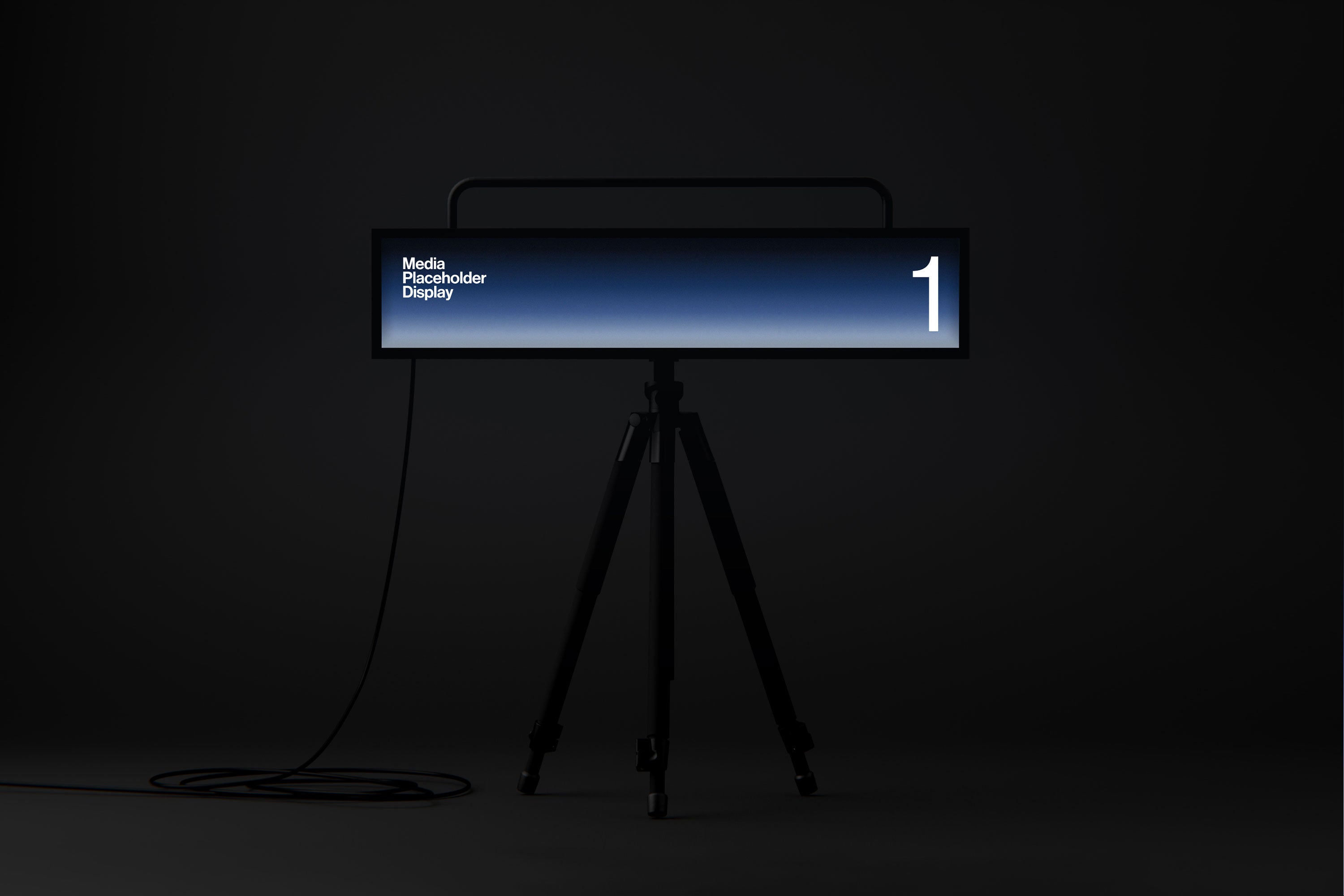 Display One Size Assets