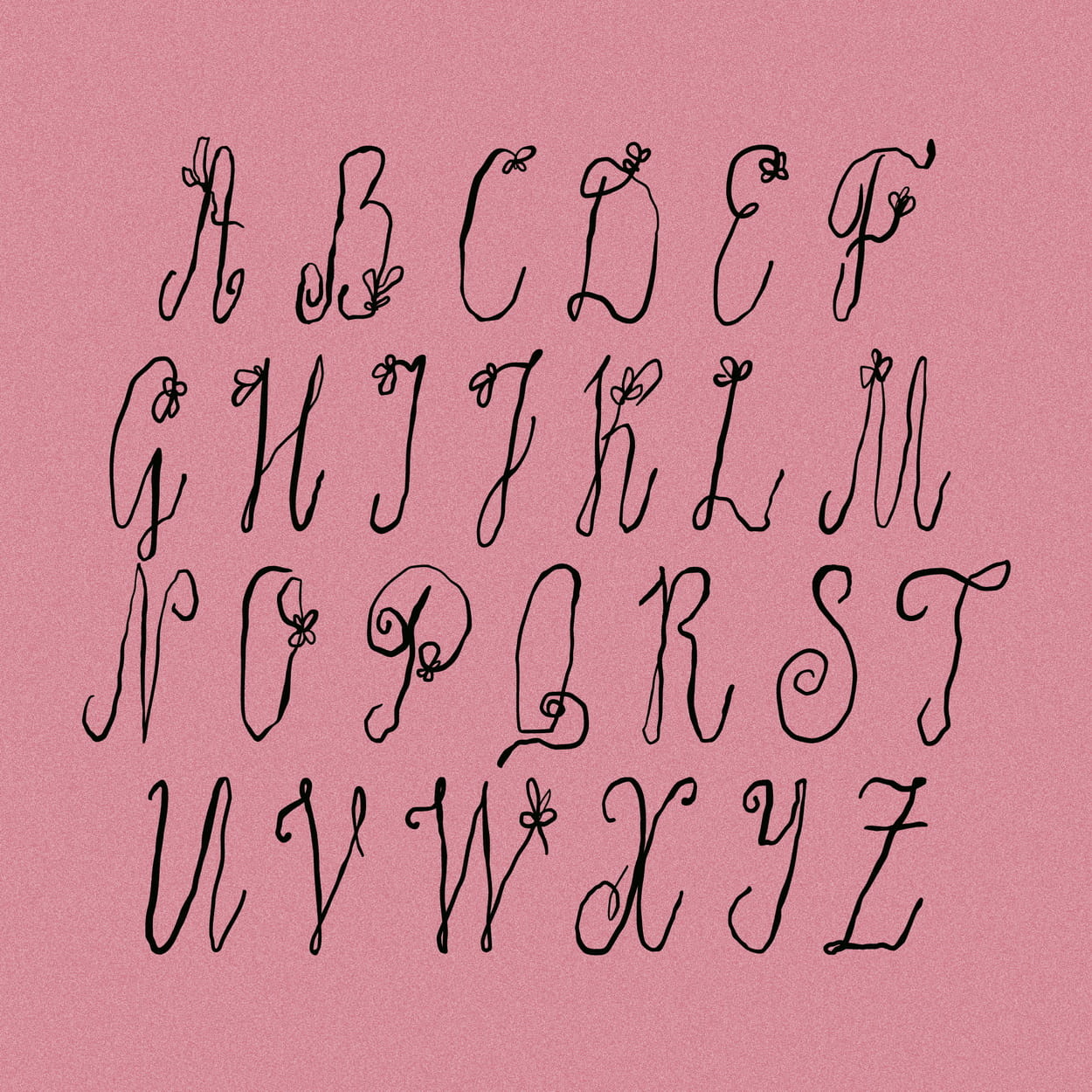 Quiet Wild Whimsical Floral Script Victoria Strukovskaya
