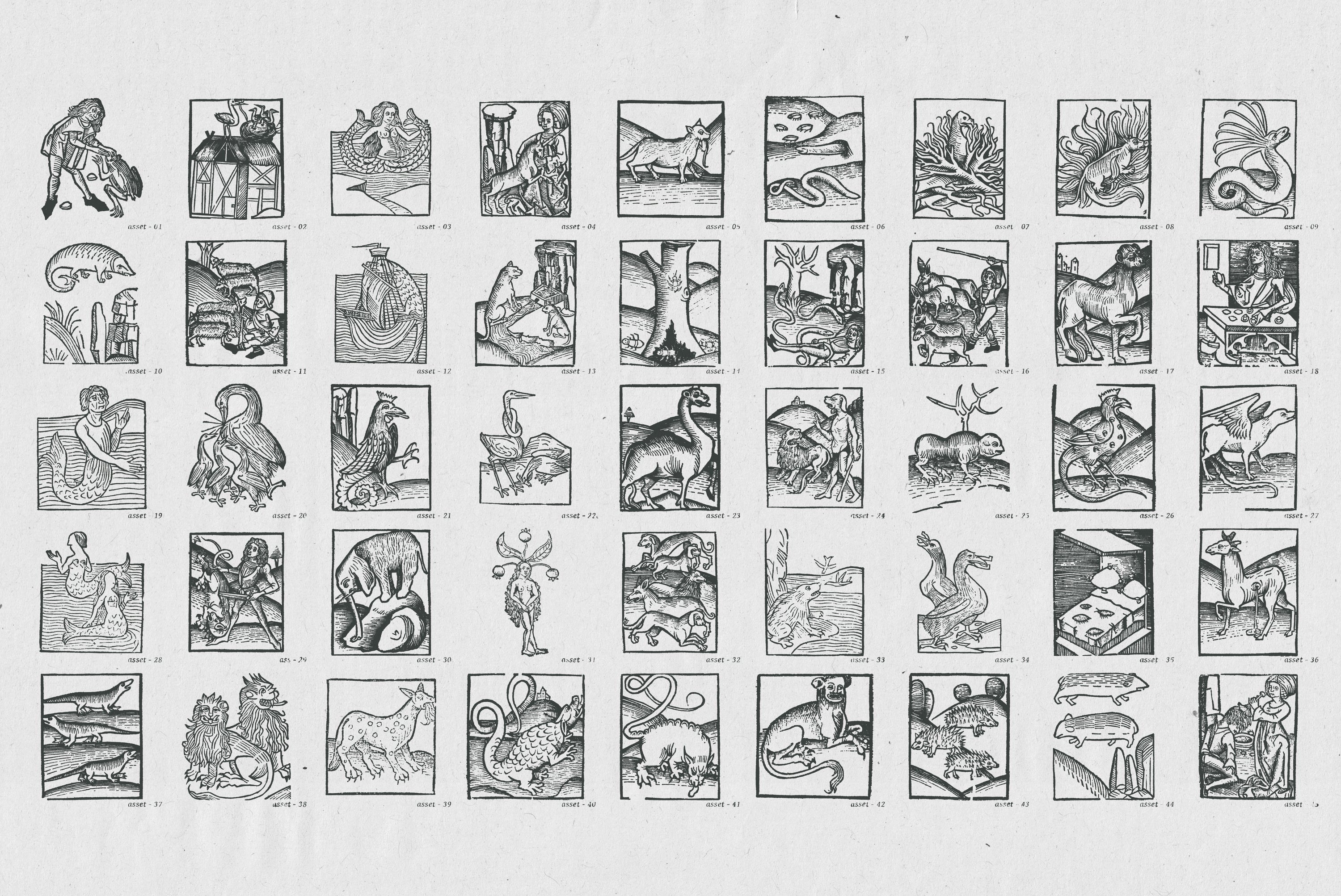 Renaissance Reverie Vector Collection