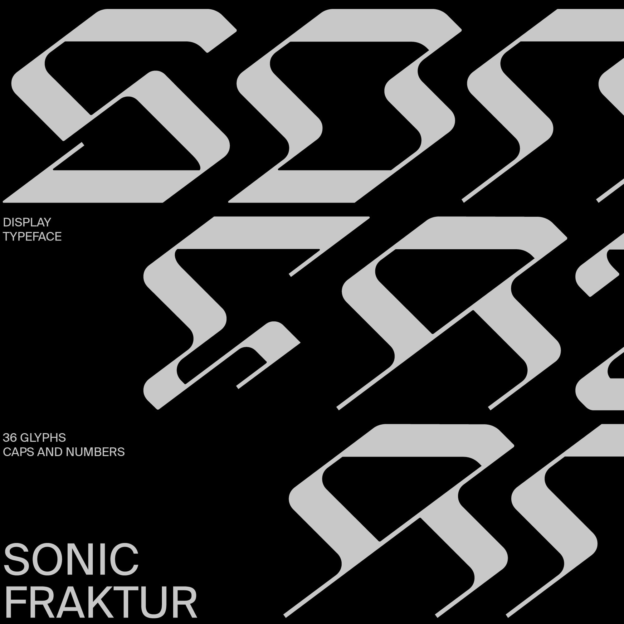 Sonic Fraktur Alexander Raffl