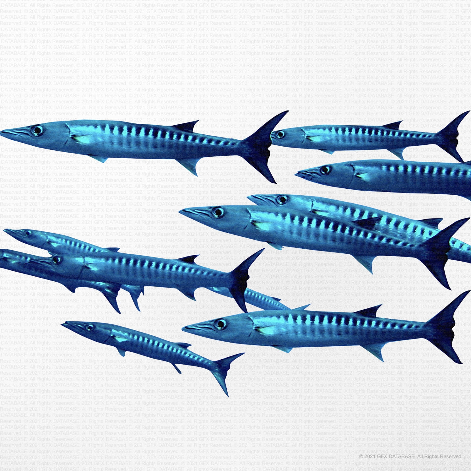 Sea Life Graphics (Vol.1) GFX Database