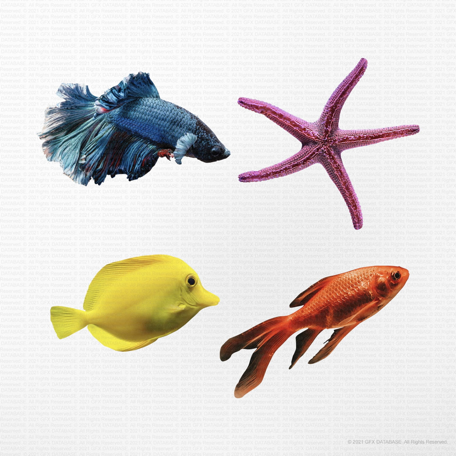 Sea Life Graphics (Vol.1) GFX Database