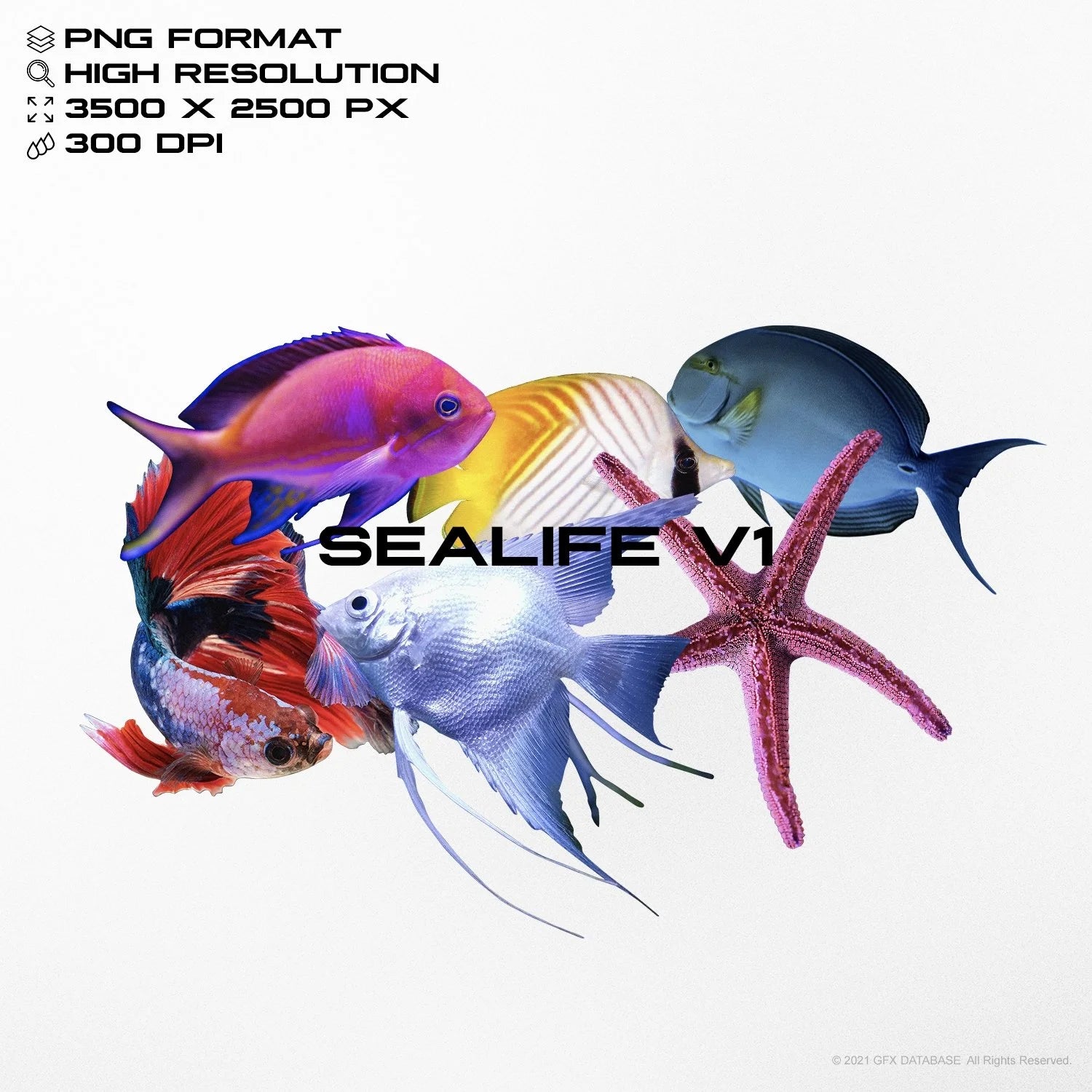 Sea Life Illustrations (Vol.1) GFX Database