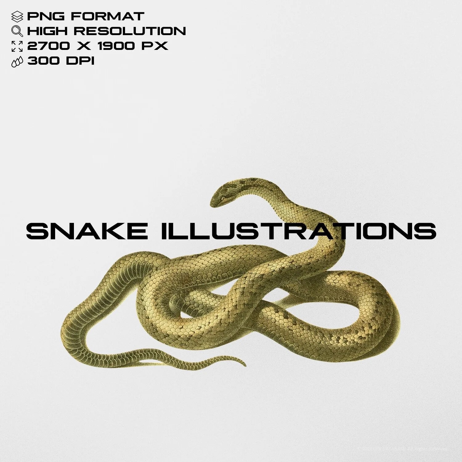 Snake Illustrations GFX Database