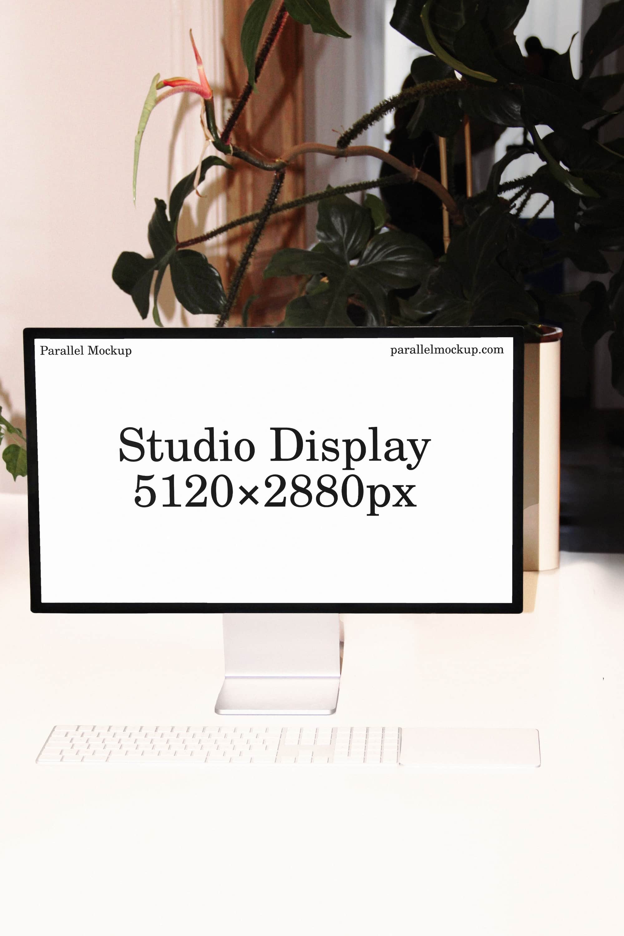Studio Display Mockup OF-A-50 Parallel Mockup