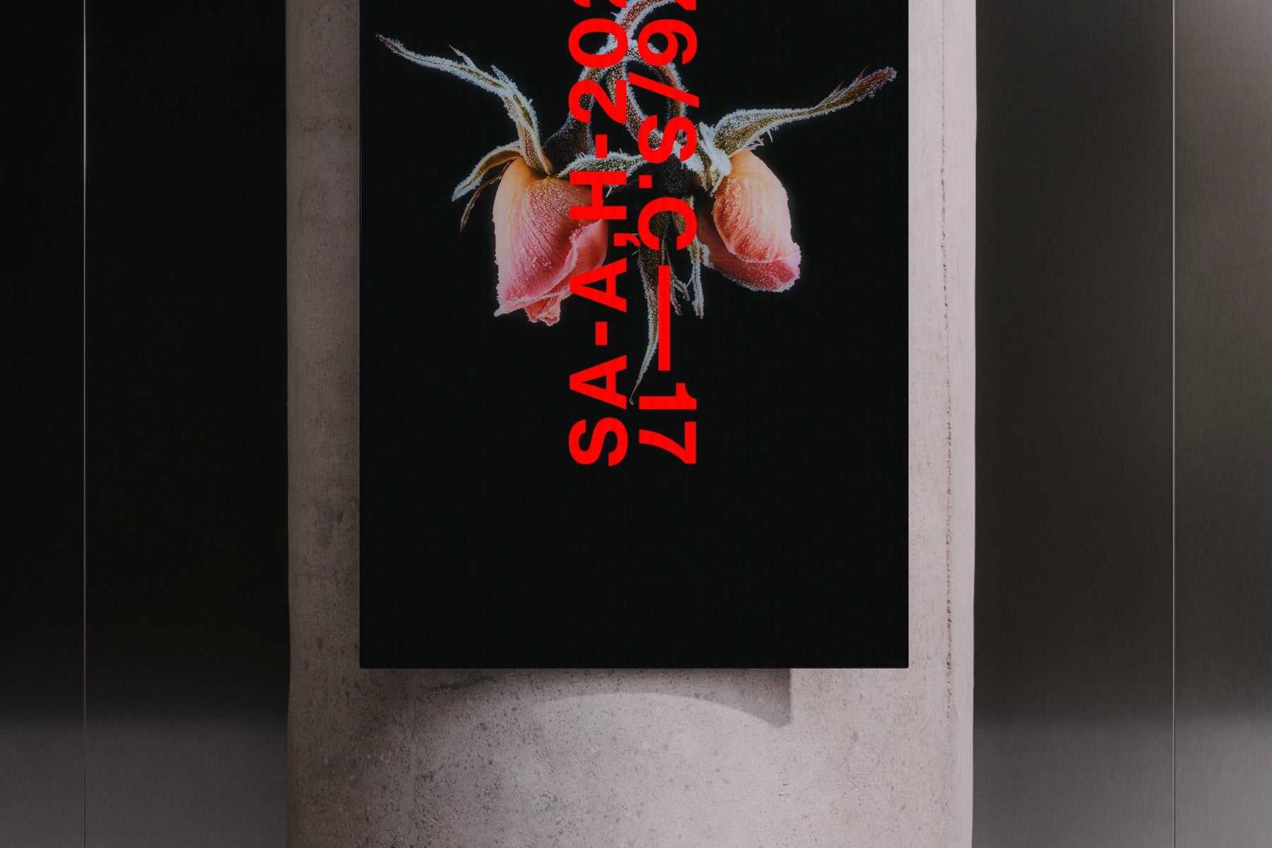 Vertical Display 08 Ply