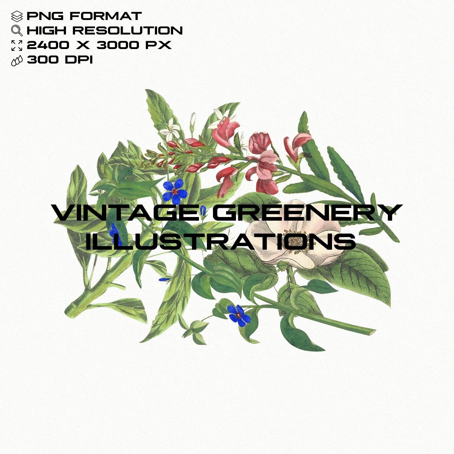 Vintage Greenery Illustrations GFX Database
