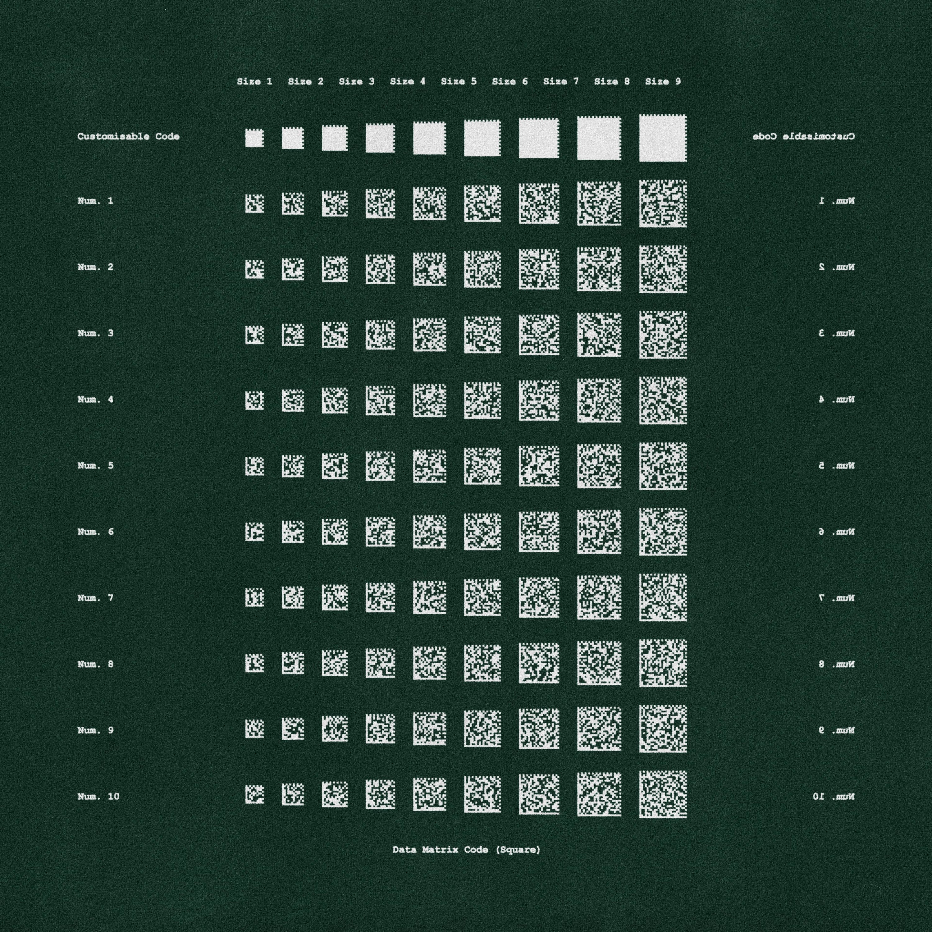Visual Data Asset Pack Jason Santos