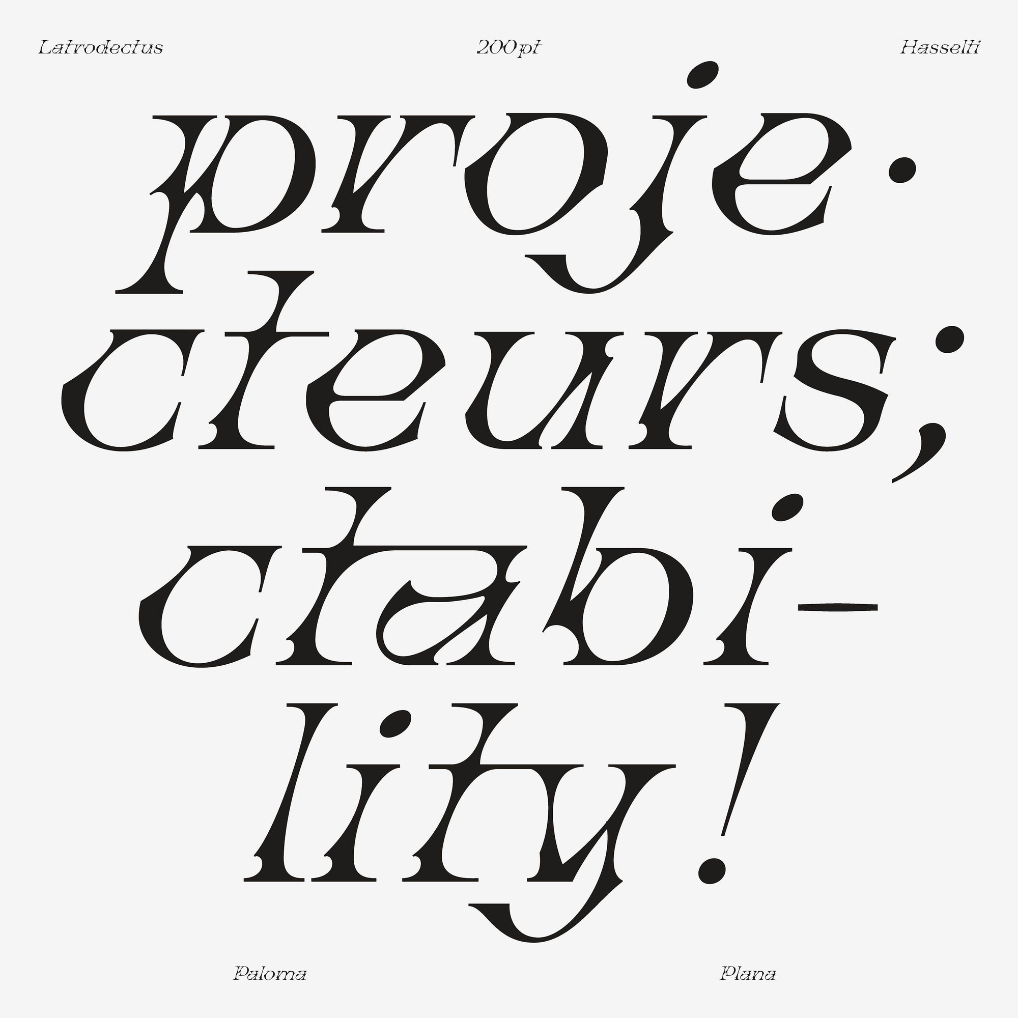 Latrodectus Hasselti Typeface Paloma Plana