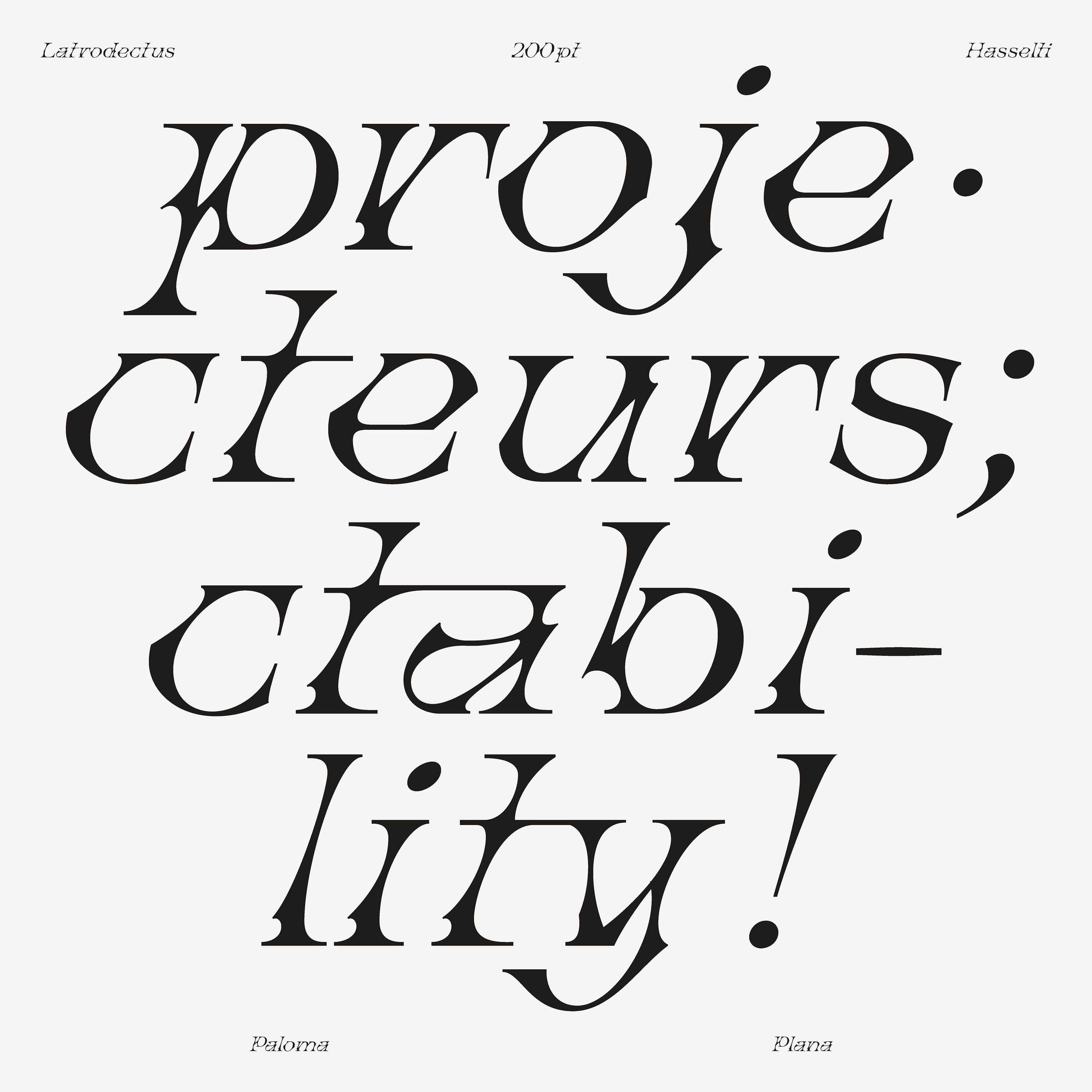 Latrodectus Hasselti Typeface Paloma Plana