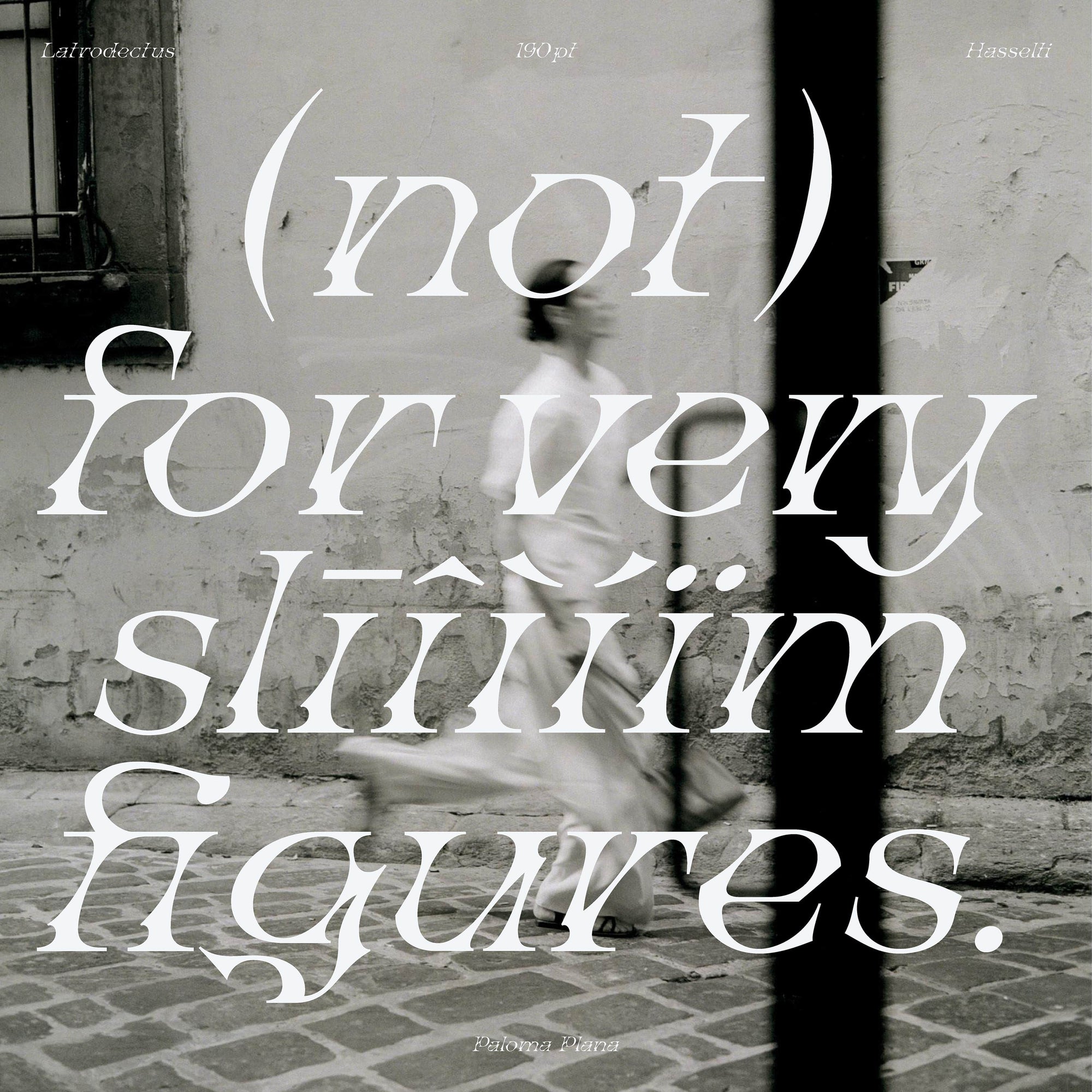 Latrodectus Hasselti Typeface Paloma Plana