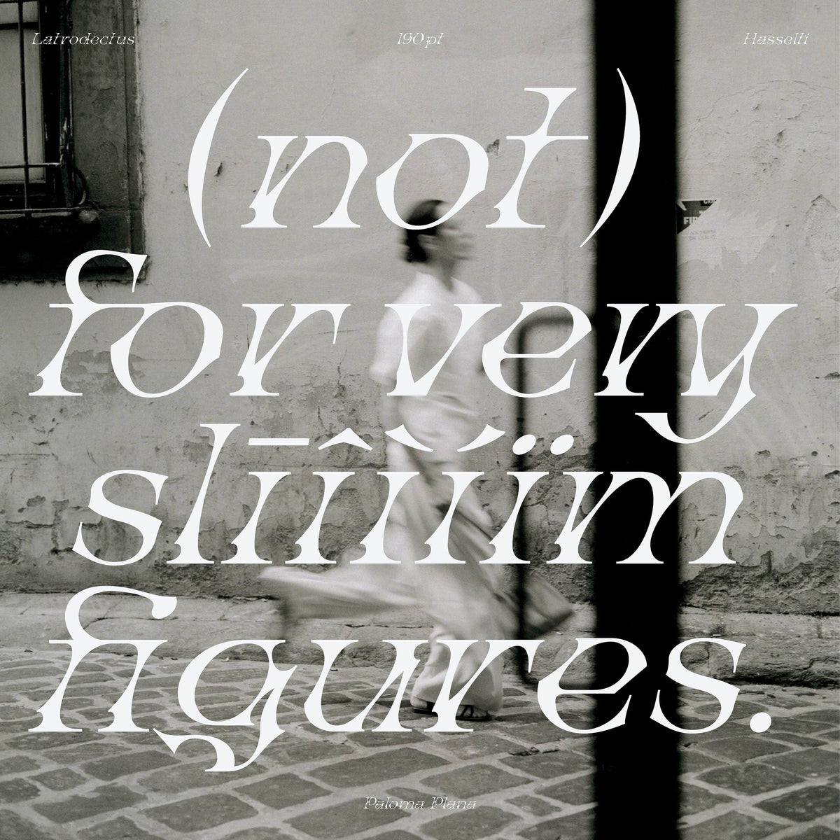 Latrodectus Hasselti Typeface Paloma Plana