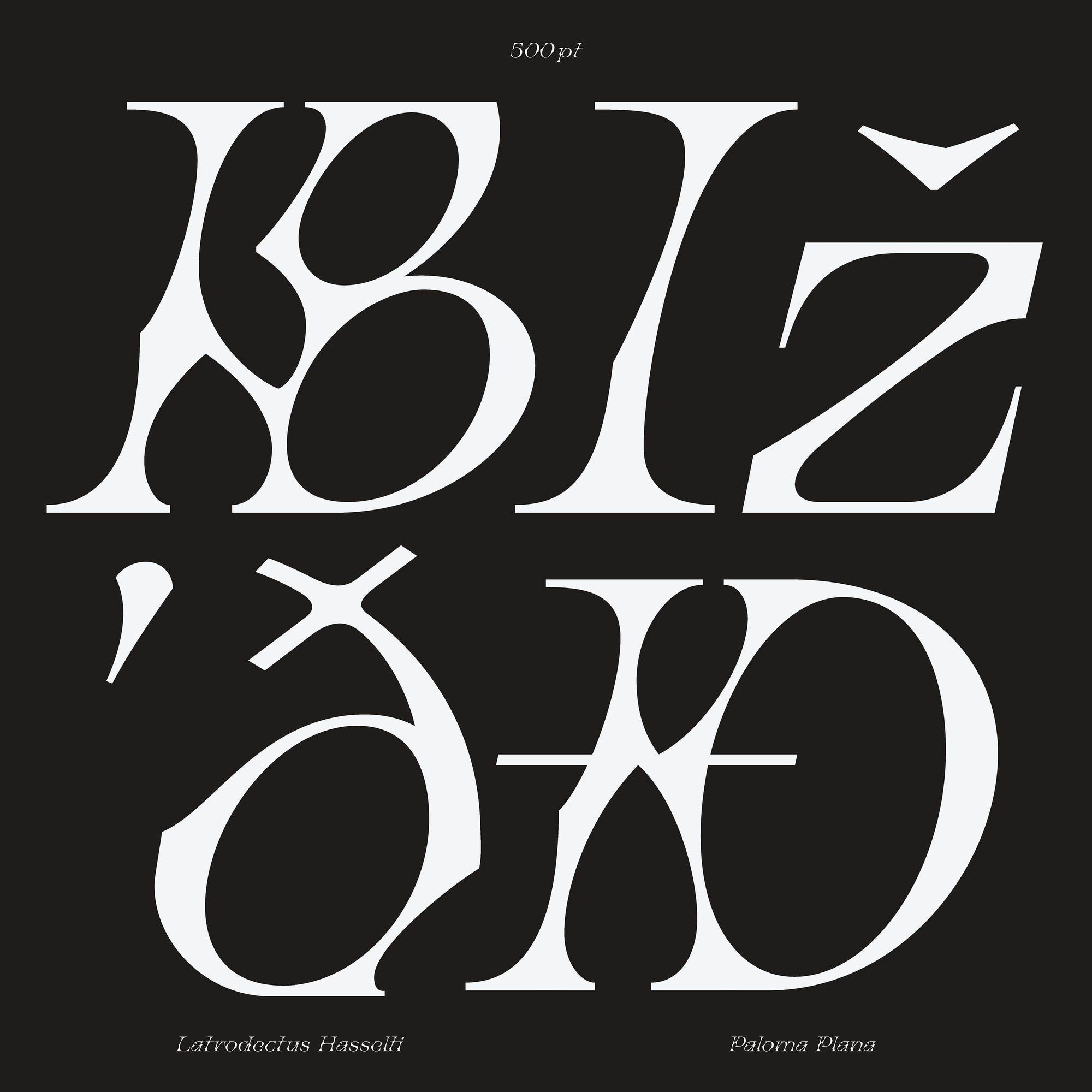Latrodectus Hasselti Typeface Paloma Plana
