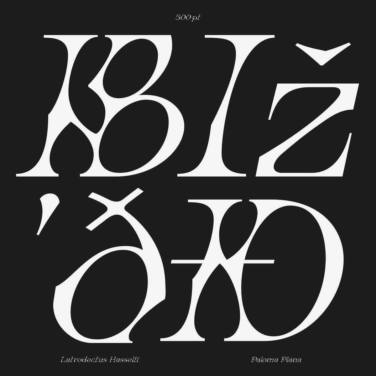 Latrodectus Hasselti Typeface Paloma Plana