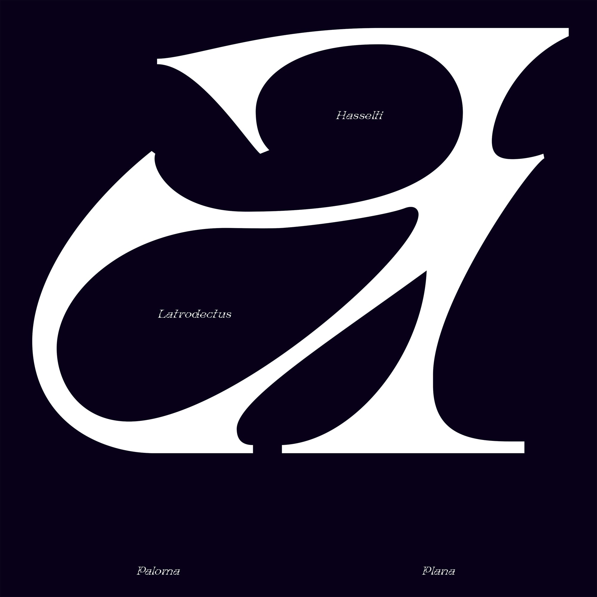 Latrodectus Hasselti Typeface Paloma Plana