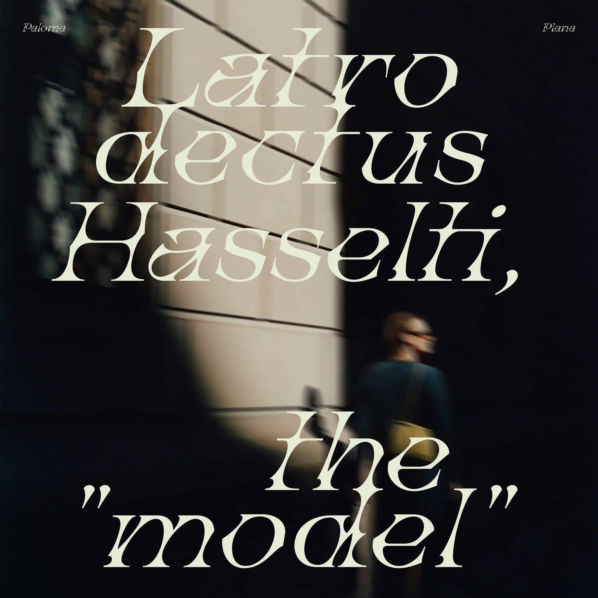 Latrodectus Hasselti Typeface Paloma Plana