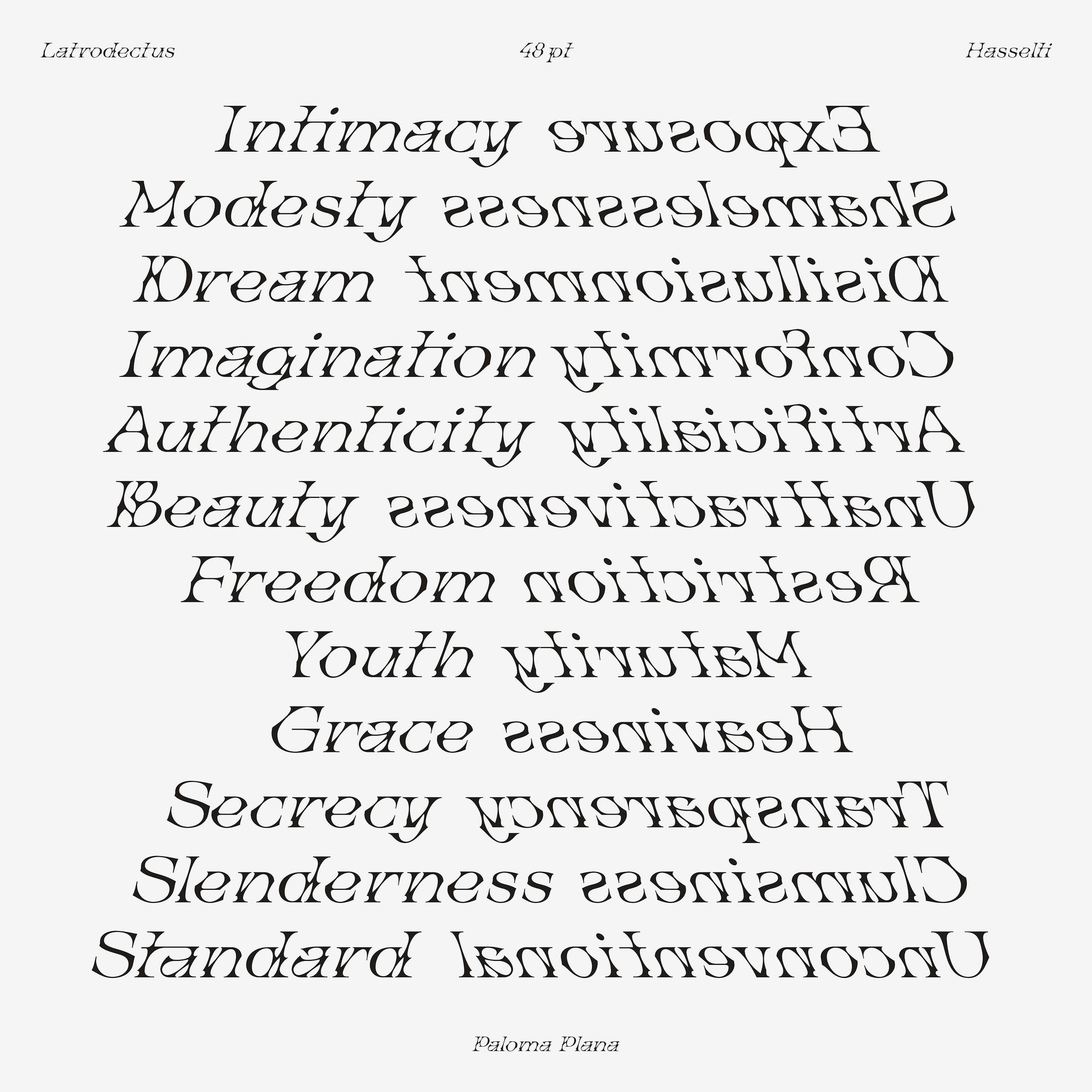 Latrodectus Hasselti Typeface Paloma Plana
