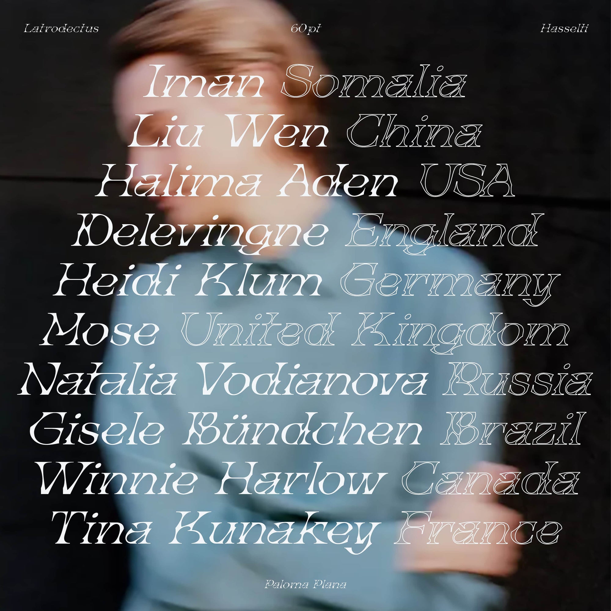 Latrodectus Hasselti Typeface Paloma Plana