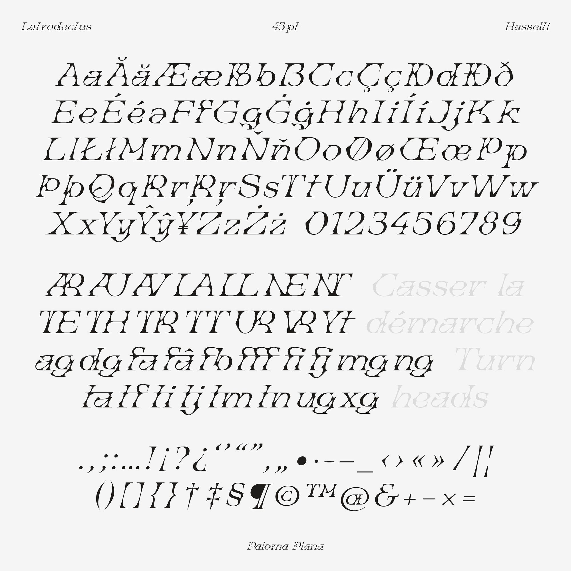 Latrodectus Hasselti Typeface Paloma Plana