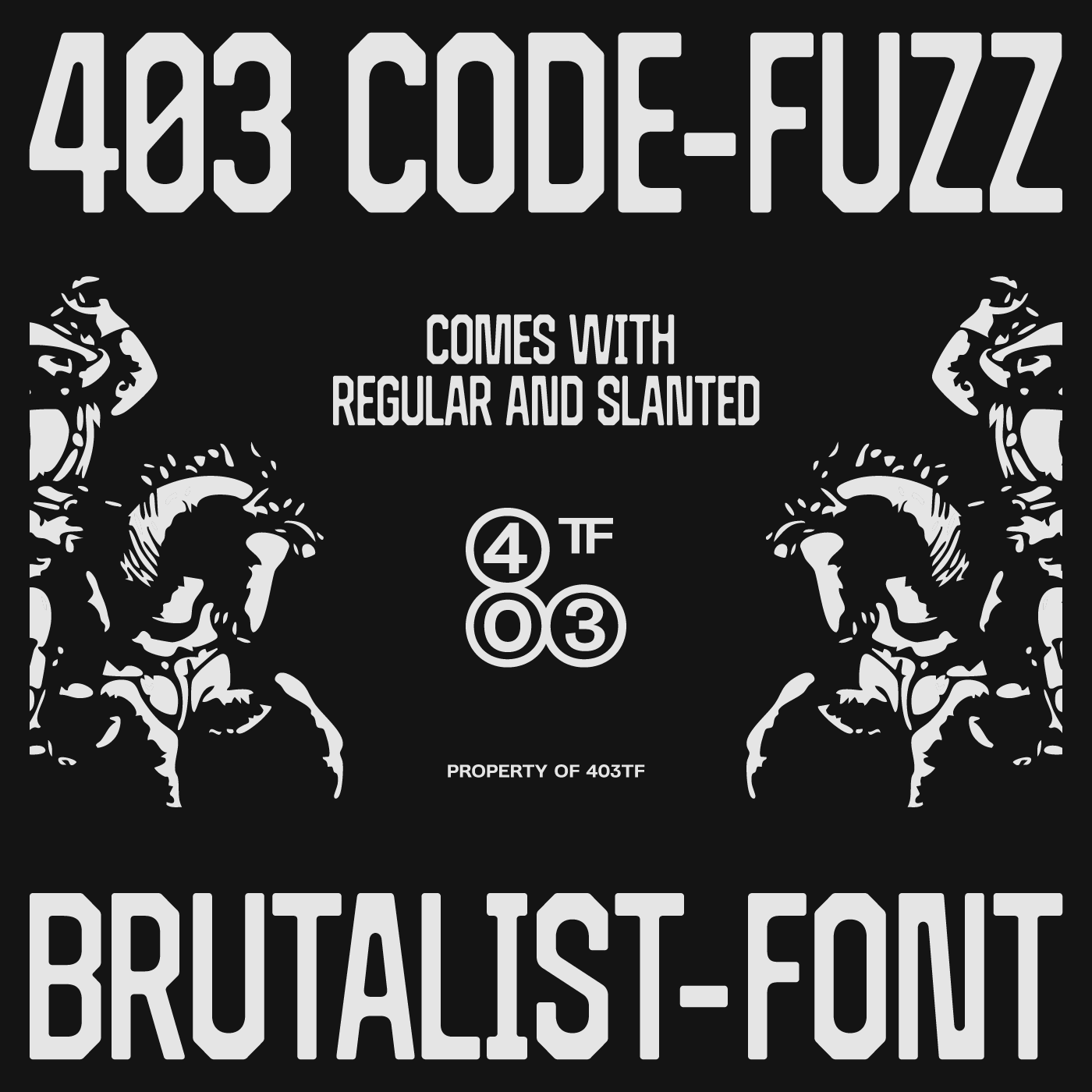 403 Code Fuzz Type Mania