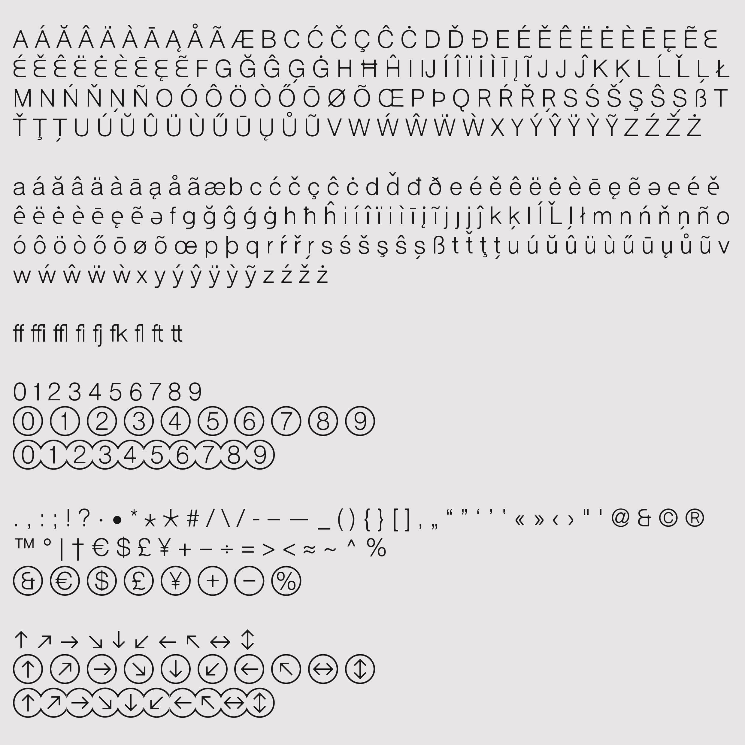Inkbleed Light Typeface Type Mania