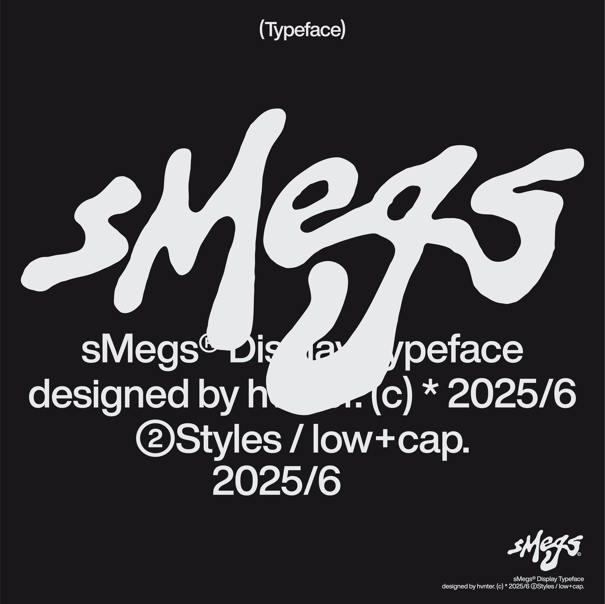 sMegs Display hvnter