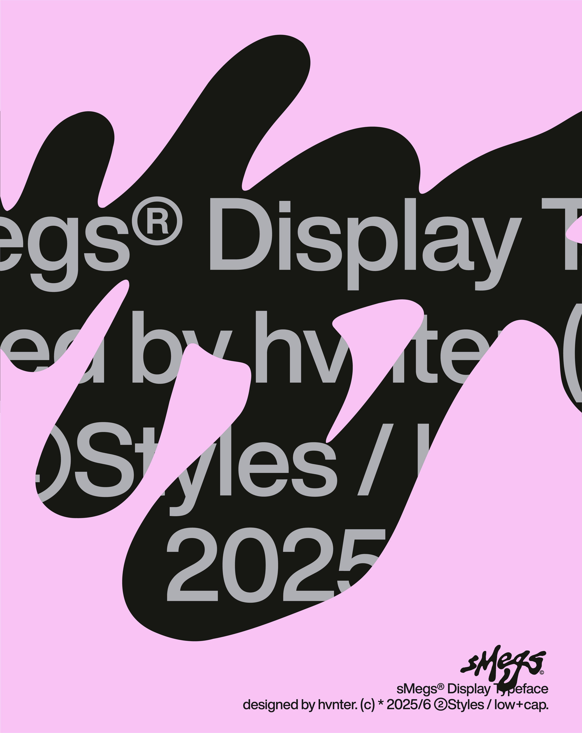 sMegs Display hvnter