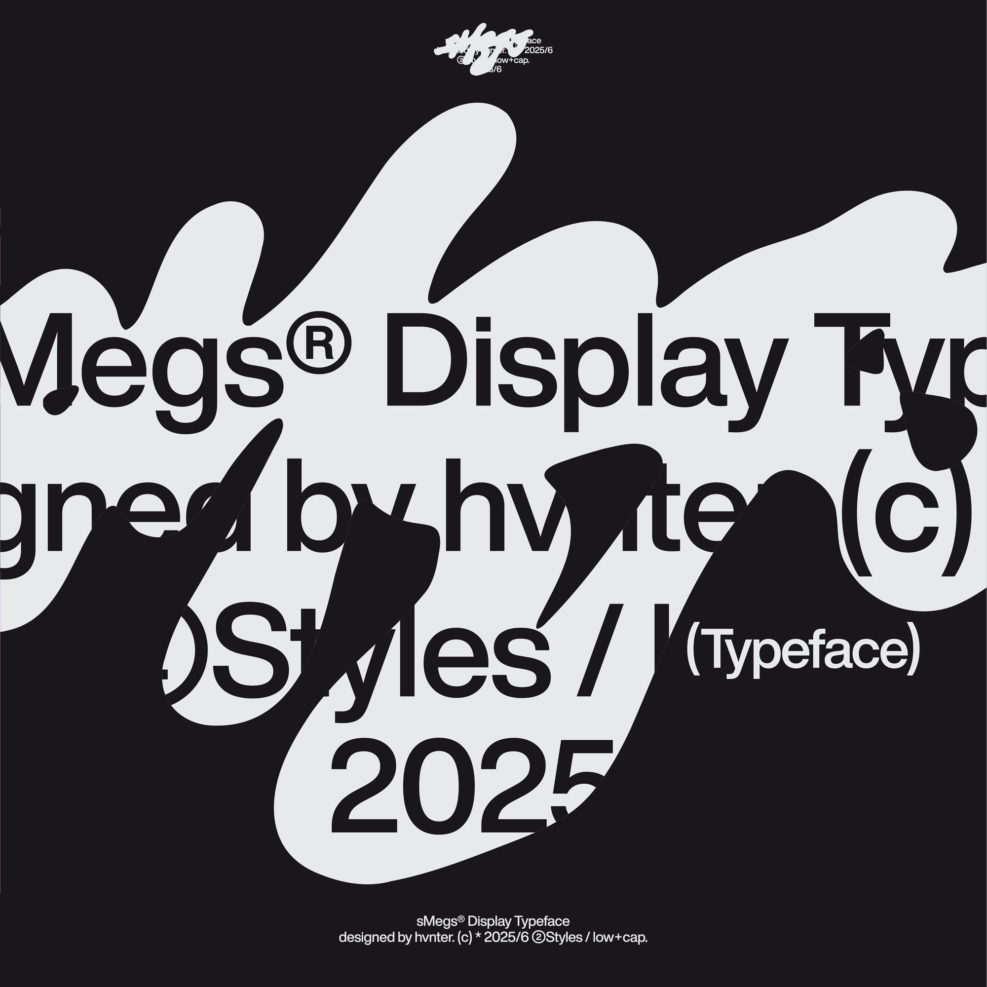 sMegs Display hvnter