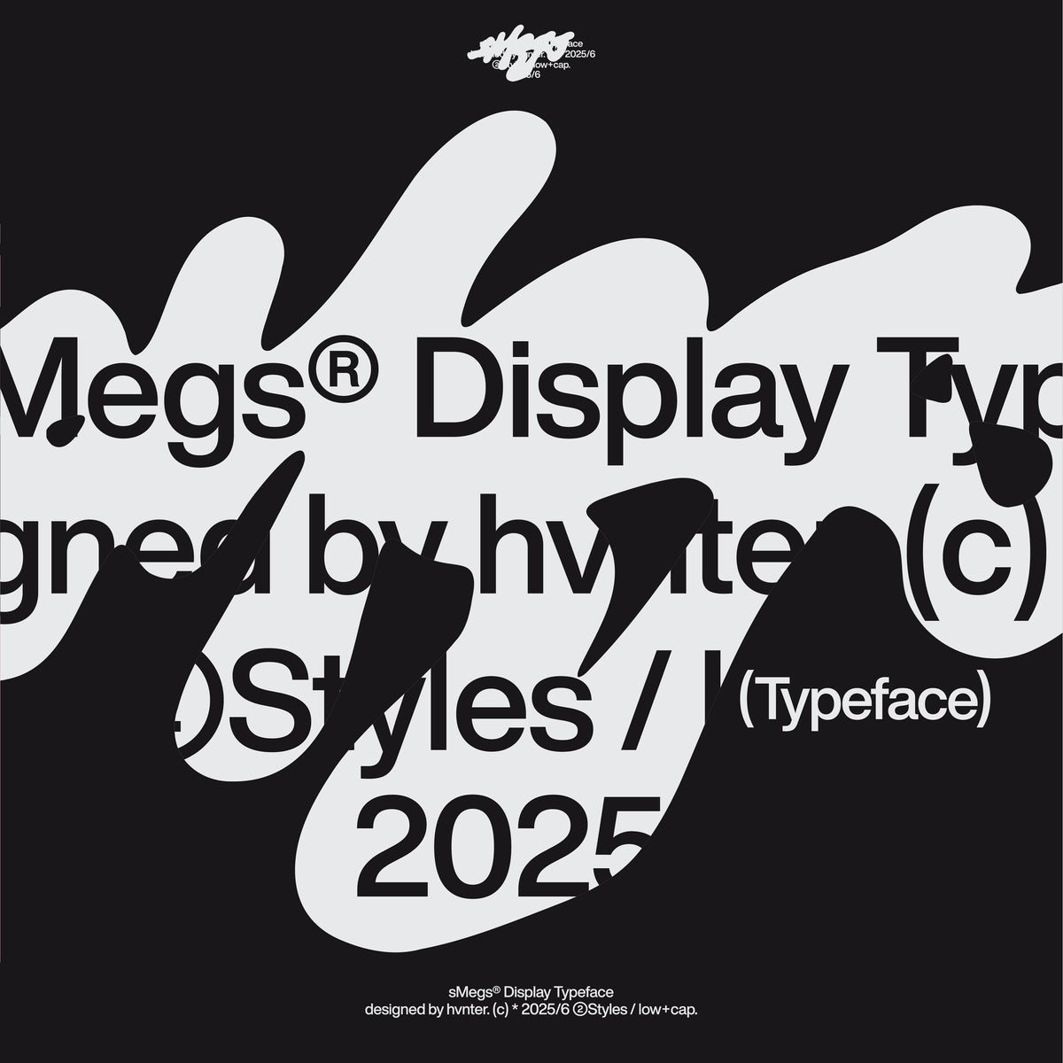 sMegs Display hvnter